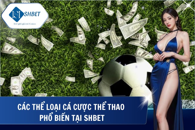 Cá cược phổ biến tại SHBet