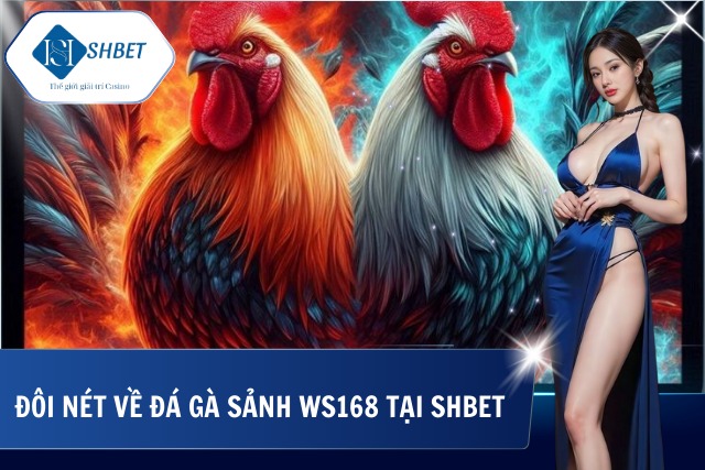 Sơ lược về đá gà