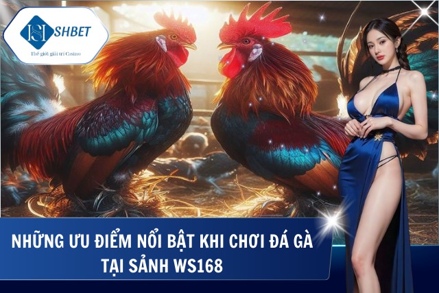 Ưu điểm nổi bật khi chơi