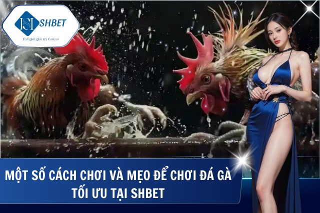 Chia sẻ hướng dẫn nhanh các mẹo