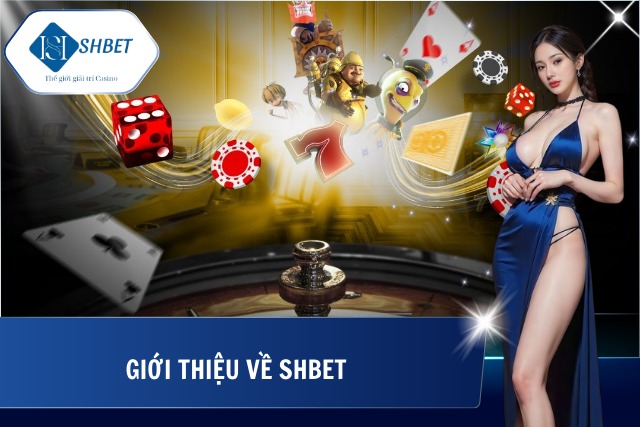 Thông tin cơ bản về nhà cái